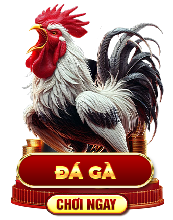 Đá gà 98WIN icon