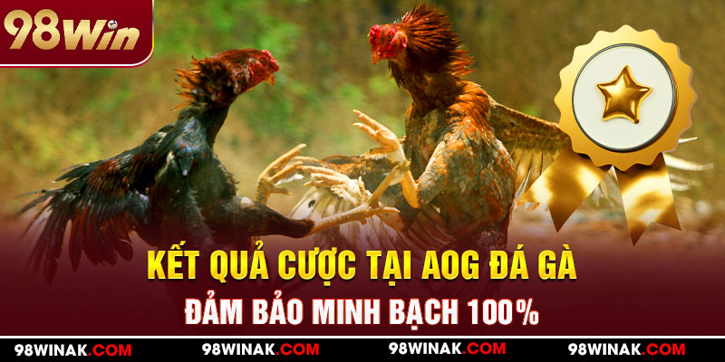 Kết quả cược tại AOG đá gà đảm bảo minh bạch 100%