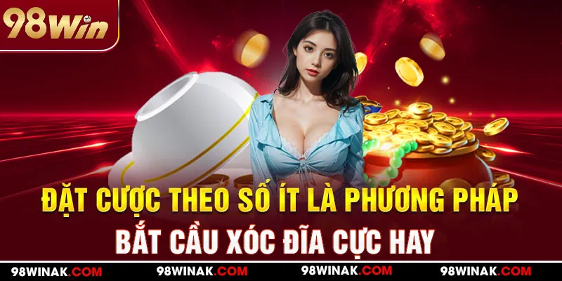 Đặt cược theo số ít là phương pháp bắt cầu xóc đĩa cực hay