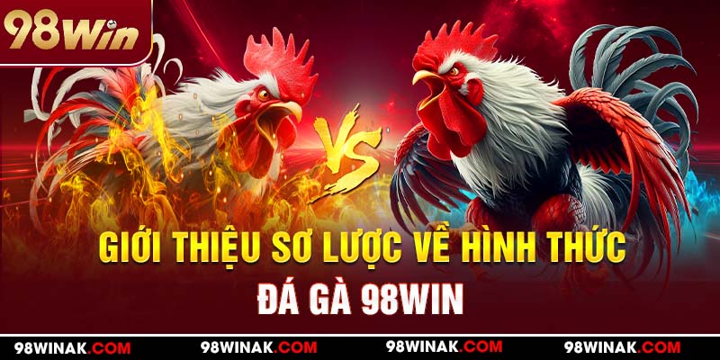Giới thiệu sơ lược về hình thức đá gà 98WIN