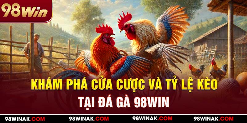 Khám phá các cửa cược hấp dẫn lợi nhuận cao tại đá gà 98WIN